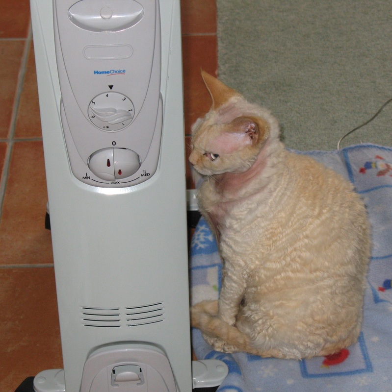 miss-dill-chilly-2008_orig